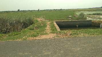  Agricultural Land for Sale in Natham, Dindigul