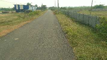  Agricultural Land for Sale in Tirupattur, Tiruchirappalli