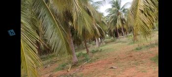  Agricultural Land for Sale in Pudukudi, Thanjavur