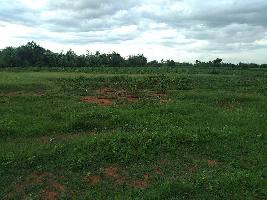  Agricultural Land for Sale in Punalkulam, Thanjavur