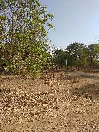  Agricultural Land for Sale in Dabhoi, Vadodara