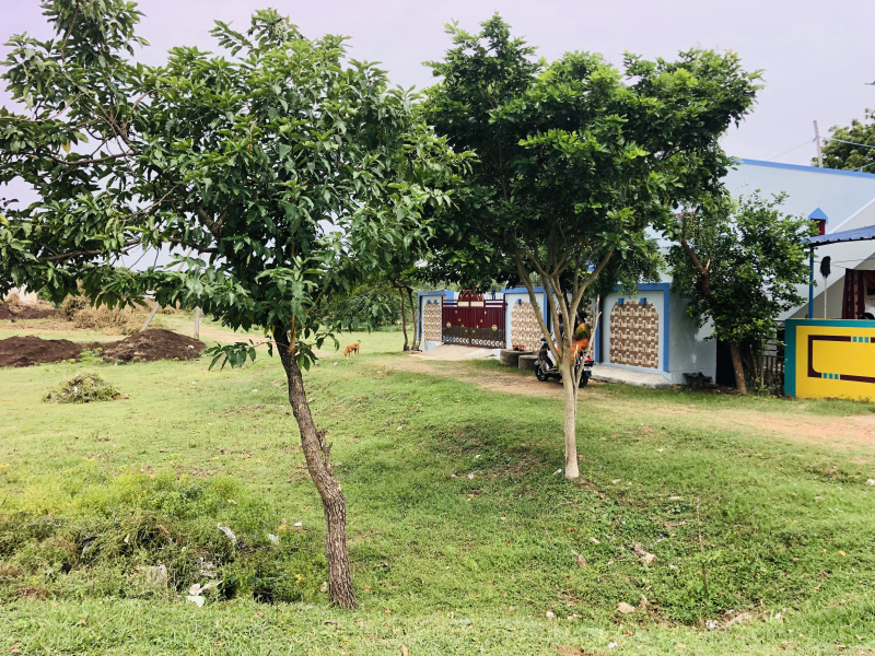  Residential Plot 3412 Sq.ft. for Sale in Chidambaram, Cuddalore