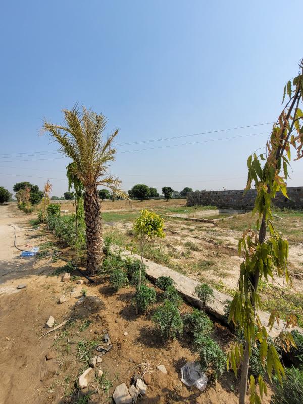  Agricultural Land 21 Bigha for Sale in Ramgarh, Alwar