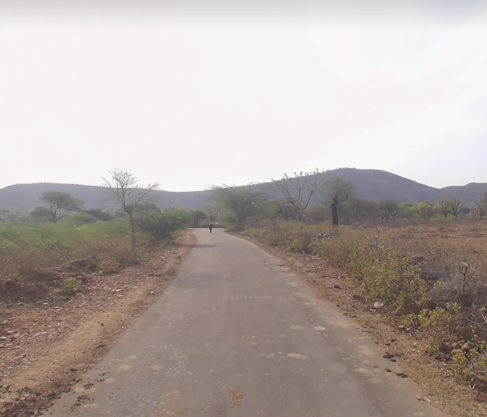  Agricultural Land 5 Bigha for Sale in Thanagazi, Alwar