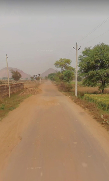  Agricultural Land 9 Bigha for Sale in Chikani, Alwar