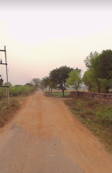  Agricultural Land 9 Bigha for Sale in Chikani, Alwar