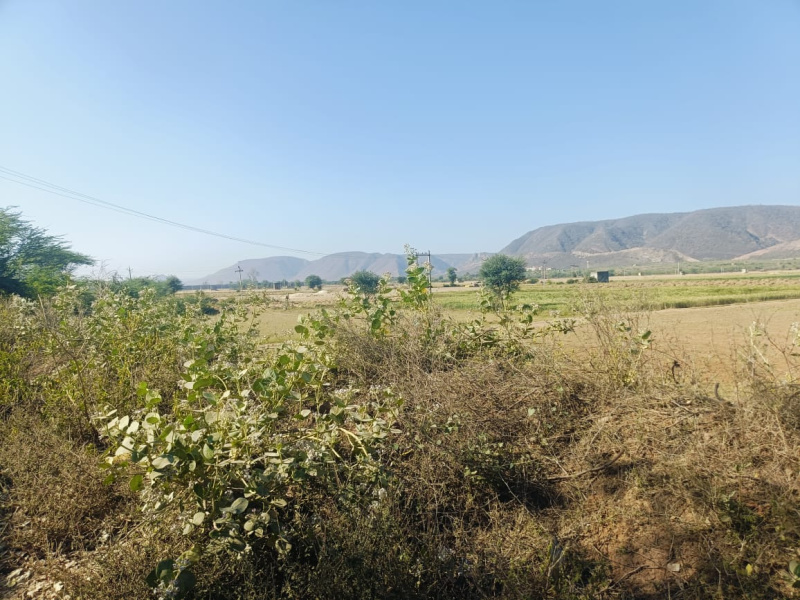  Agricultural Land 35 Bigha for Sale in Thanagazi, Alwar