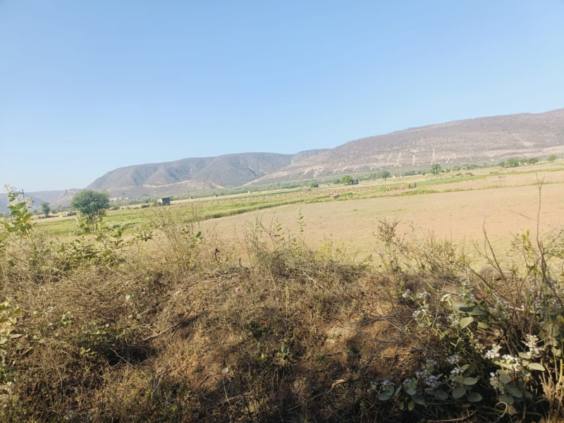  Agricultural Land 35 Bigha for Sale in Thanagazi, Alwar