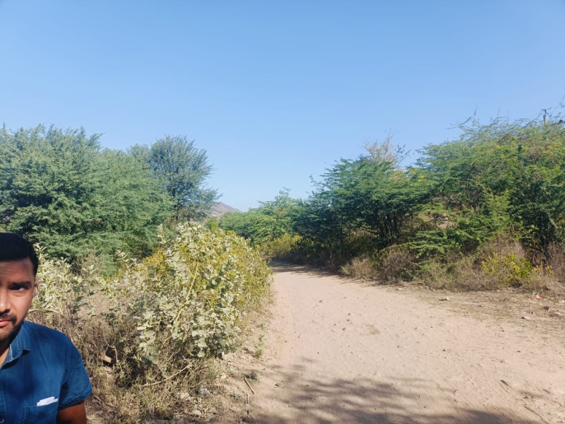  Agricultural Land 35 Bigha for Sale in Thanagazi, Alwar