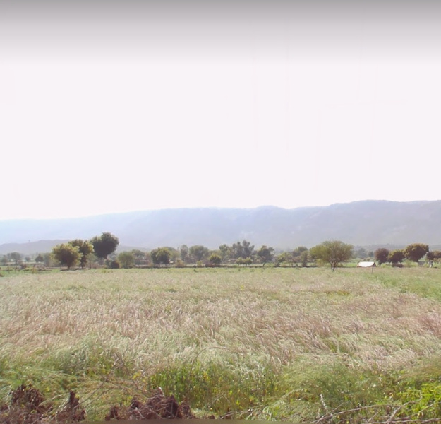  Agricultural Land 3 Bigha for Sale in Siliserh, Alwar