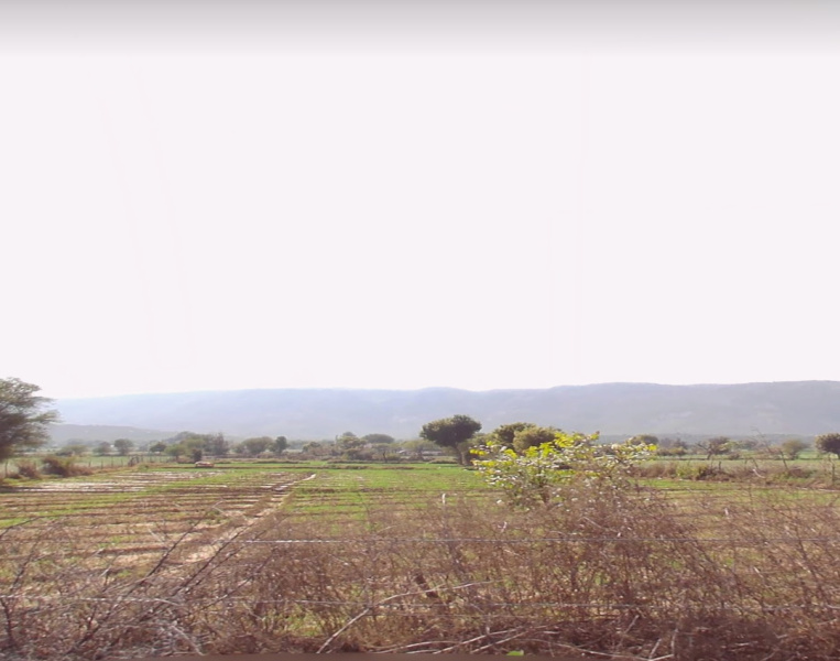  Agricultural Land 3 Bigha for Sale in Siliserh, Alwar