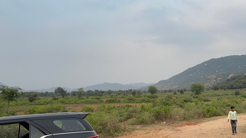  Agricultural Land 20 Bigha for Sale in Khairthal, Alwar