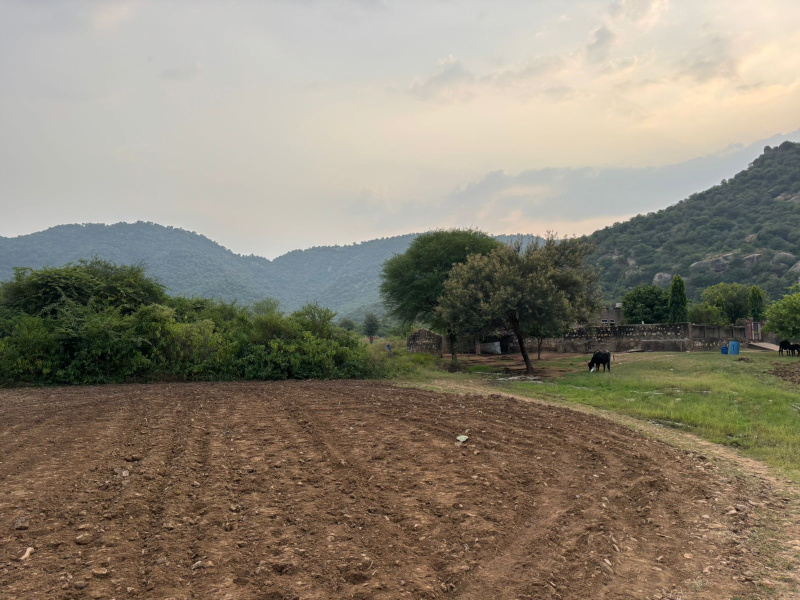  Agricultural Land 12 Bigha for Sale in Naugaon, Alwar