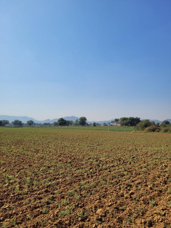  15 Bigha Agricultural/Farm Land for Sale in Thanagazi, Alwar