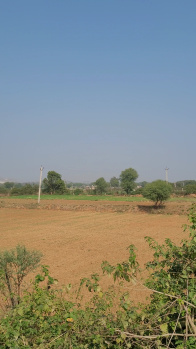 Agricultural Land for Sale in Thanagazi, Alwar