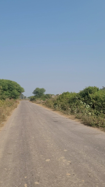  30 Bigha Agricultural/Farm Land for Sale in Thanagazi, Alwar