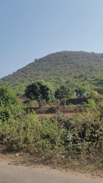  30 Bigha Agricultural/Farm Land for Sale in Thanagazi, Alwar