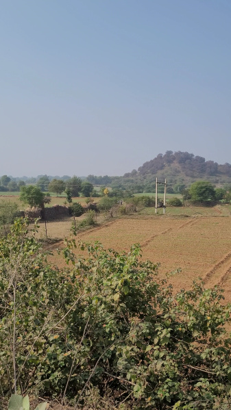 30 Bigha Agricultural/Farm Land for Sale in Sariska, Alwar