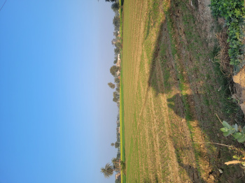  Agricultural Land for Sale in Bansur, Alwar