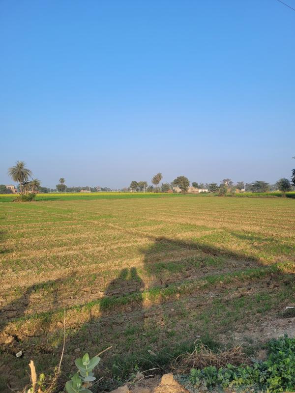  30 Bigha Agricultural/Farm Land for Sale in Bansur, Alwar