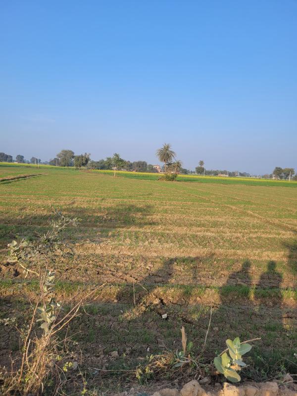  30 Bigha Agricultural/Farm Land for Sale in Bansur, Alwar