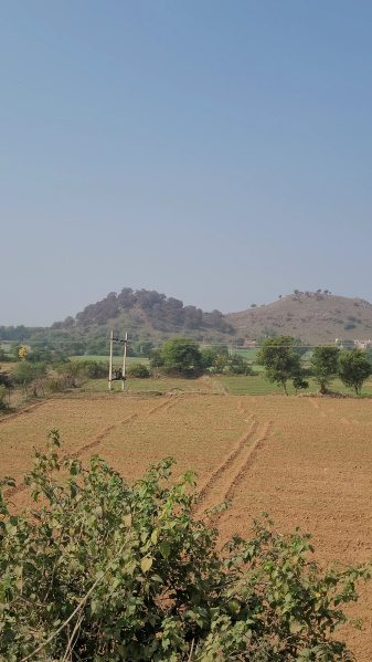  30 Sq.ft. Agricultural/Farm Land for Sale in Thanagazi, Alwar