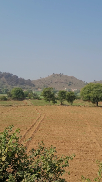  30 Sq.ft. Agricultural/Farm Land for Sale in Thanagazi, Alwar