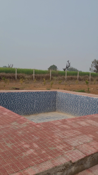  15 Bigha Agricultural/Farm Land for Sale in Ramgarh, Alwar