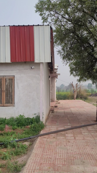  15 Bigha Agricultural/Farm Land for Sale in Ramgarh, Alwar
