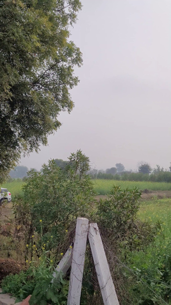  15 Bigha Agricultural/Farm Land for Sale in Ramgarh, Alwar
