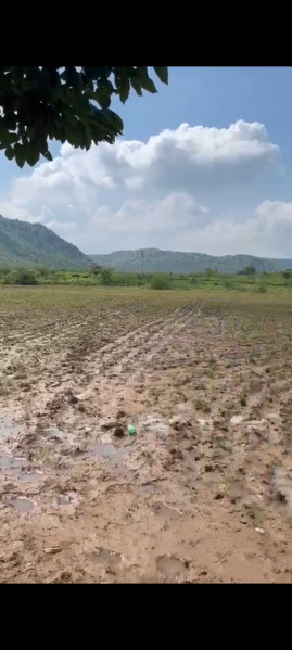  29 Bigha Agricultural/Farm Land for Sale in Tehla, Alwar