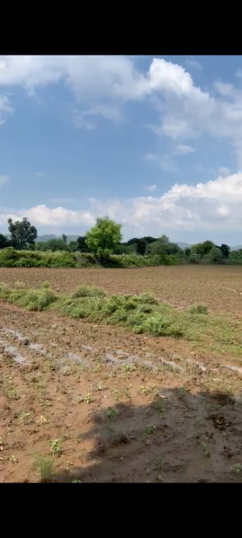  29 Bigha Agricultural/Farm Land for Sale in Tehla, Alwar