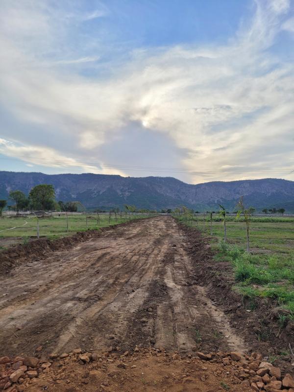  1800 Sq. Yards Agricultural/Farm Land for Sale in Siliserh, Alwar