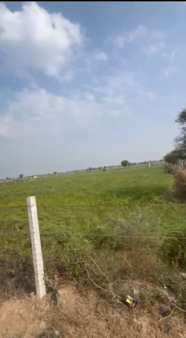  70 Bigha Agricultural/Farm Land for Sale in Bandikui, Dausa