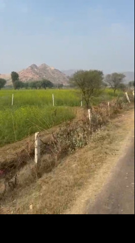 70 Bigha Agricultural/Farm Land for Sale in Bandikui, Dausa