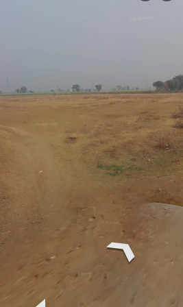  8 Bigha Agricultural/Farm Land for Sale in Chirkhana, Alwar