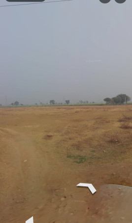  8 Bigha Agricultural/Farm Land for Sale in Chirkhana, Alwar