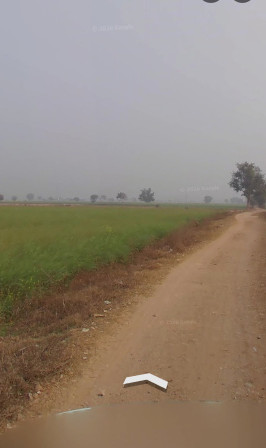  8 Bigha Agricultural/Farm Land for Sale in Chirkhana, Alwar