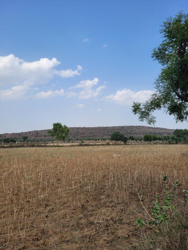  13 Bigha Agricultural/Farm Land for Sale in Pinan, Alwar