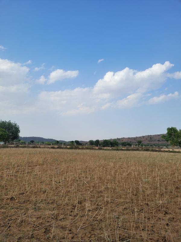 Additional image 3 of Pinan, Alwar