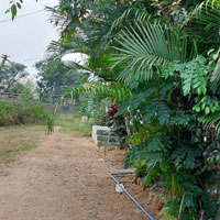  Commercial Land for Sale in Madakasira, Anantapur
