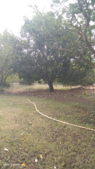  Commercial Land for Sale in Mandwa, Alibag, Raigad