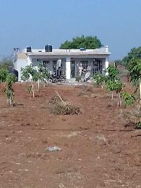  Agricultural Land for Sale in Lathi, Amreli