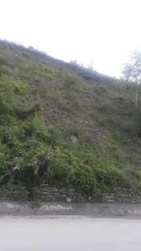  Commercial Land 700 Sq. Meter for Sale in Kumarsain, Shimla