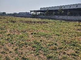  Industrial Land for Sale in Manjusar GIDC, Vadodara, Vadodara