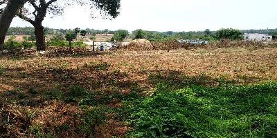  Agricultural Land for Rent in Kammasandra, Bangalore
