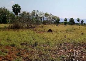  Residential Plot for Sale in Tenkasi, Tirunelveli