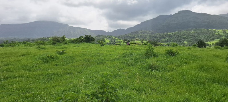  Residential Plot 76 Acre for Sale in Waje, Panvel, Navi Mumbai