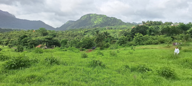  Residential Plot 76 Acre for Sale in Waje, Panvel, Navi Mumbai