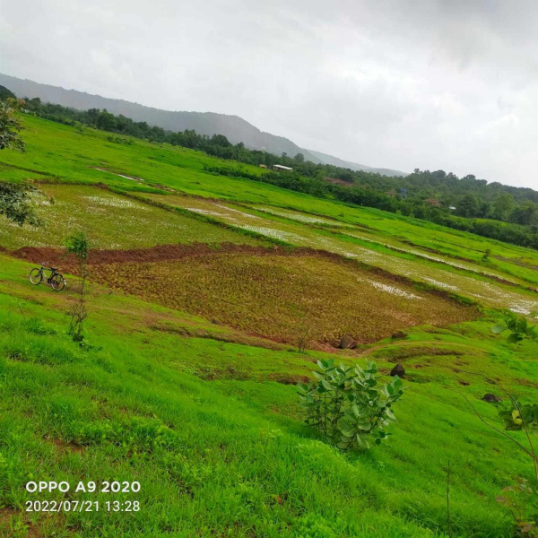  50 Acre Industrial Land for Sale in Mangaon, Raigad